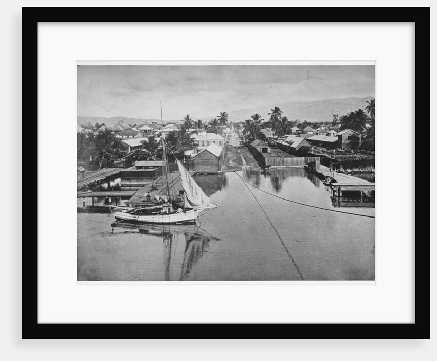 Kingston, Jamaica by Anonymous