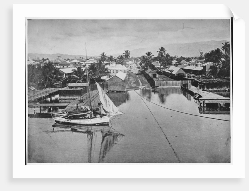 Kingston, Jamaica by Anonymous