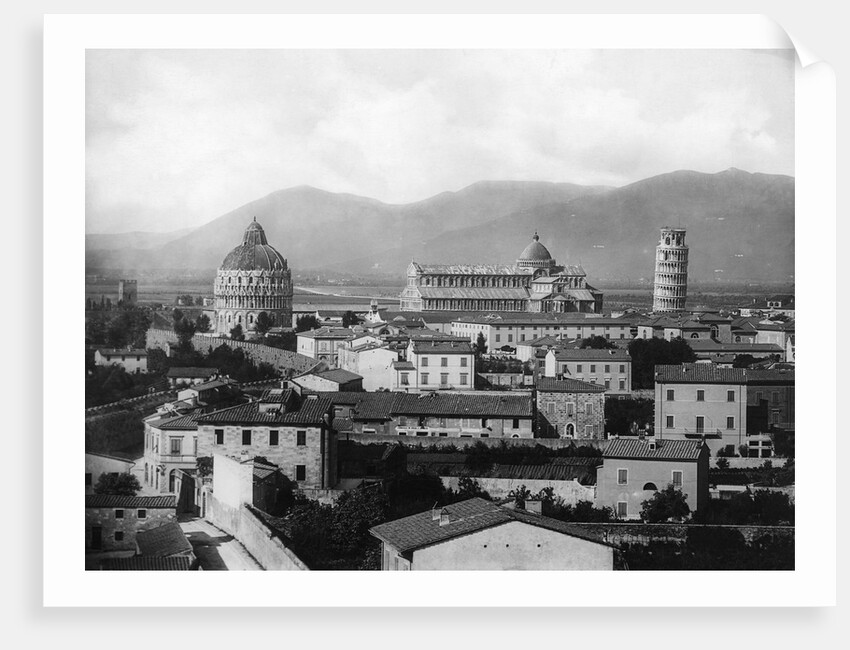 Rooftop View of Pisa by Anonymous
