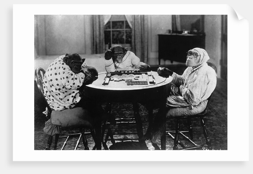 Chimpanzees Play Mahjong by Anonymous