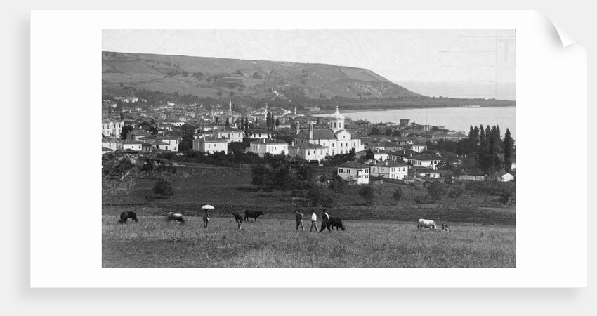 Samsun, Turkey by Anonymous