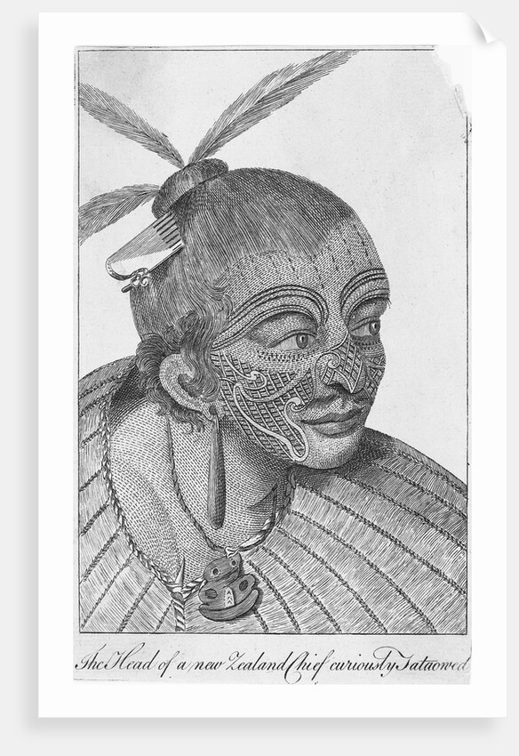 Engraving of a Maori Chieftain by Anonymous
