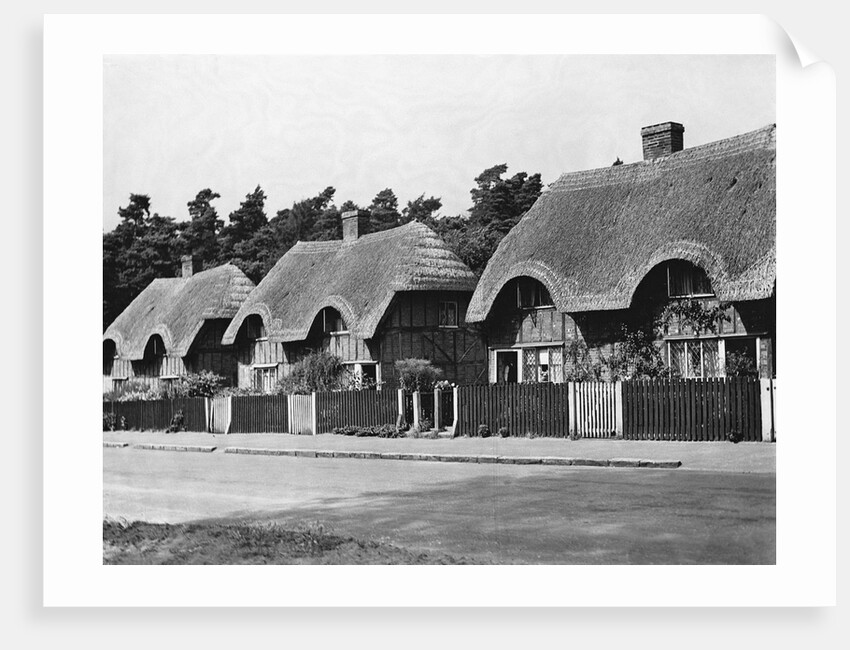 Thatched Cottages in Ampthill by Anonymous