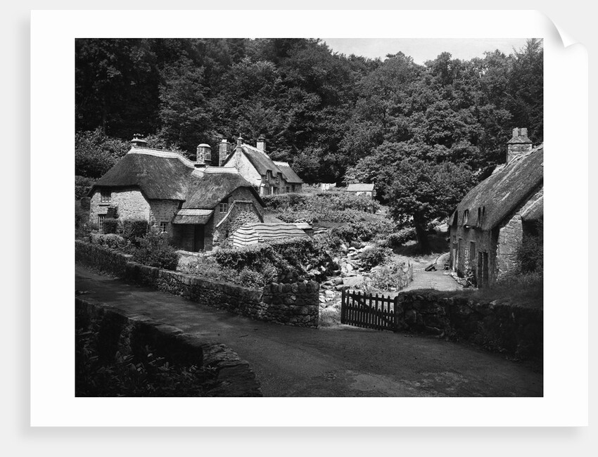 Thatched Cottages in Buckland-in-the Moor by Anonymous