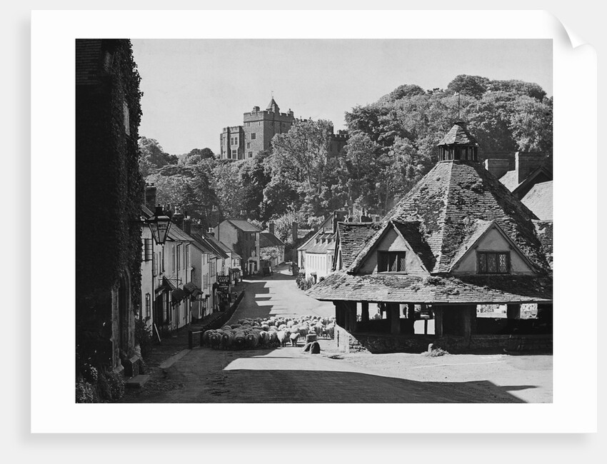 Sheep in Street, Dunster by Anonymous