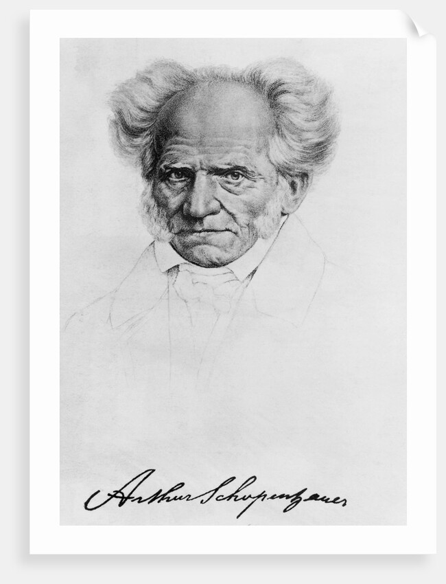 Arthur Schopenhauer by Anonymous