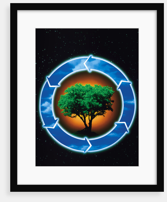 Recycle for a greener environment by Anonymous