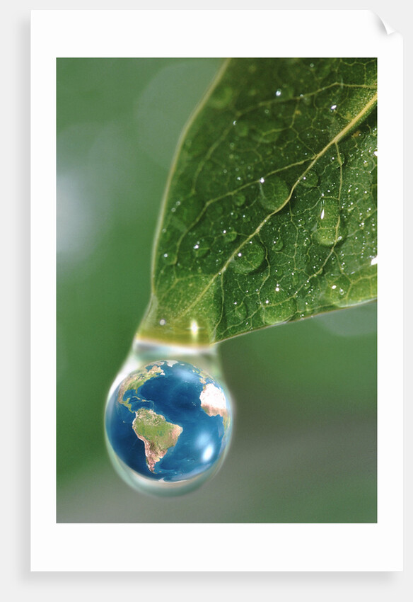 World in a Dewdrop by Anonymous