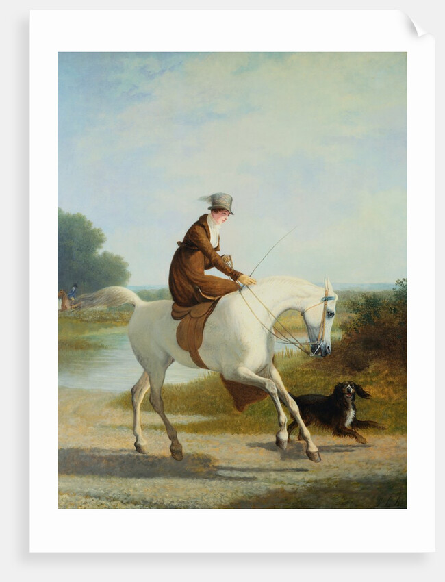 Miss Cazenove on a Gray Hunter by Jacques Laurent Agasse