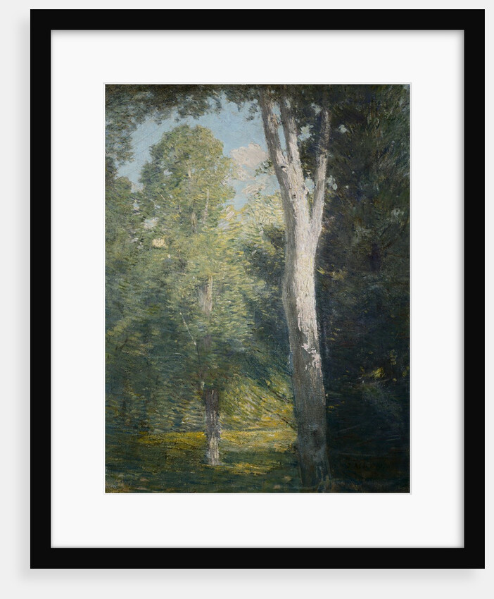 Painting of Birch Trees in Forest by Julian Alden Weir