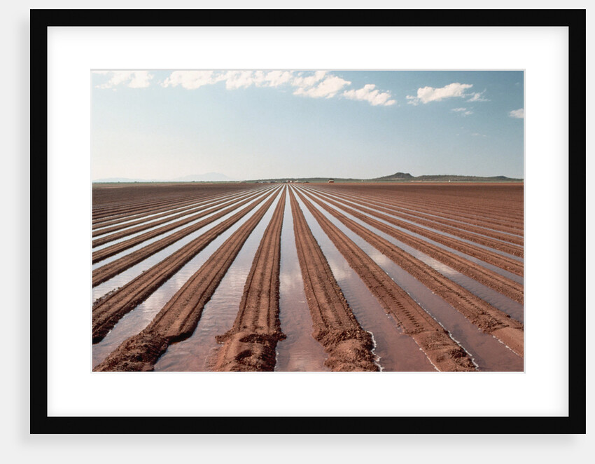 Irrigation by Anonymous