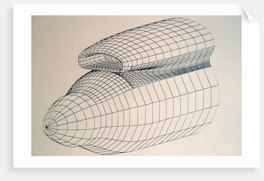 Drawing of Aircraft Nose by Anonymous
