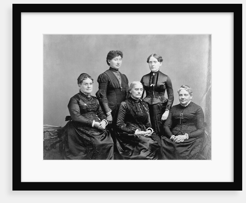 Members of the International Council of Women by Anonymous