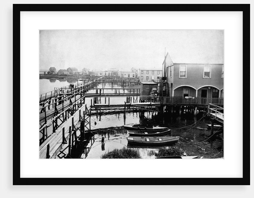 Stilted House Development, New York by Anonymous
