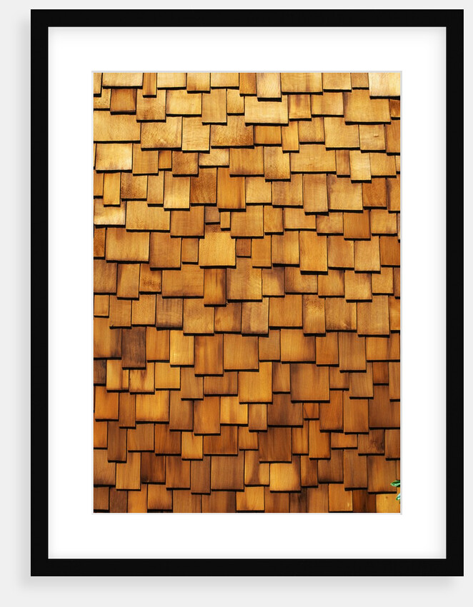Wood Shingle Siding by Anonymous