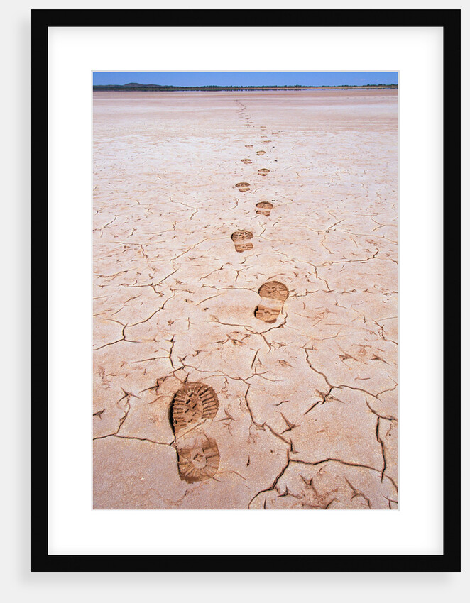 Bootprints Along Australian Outback by Anonymous