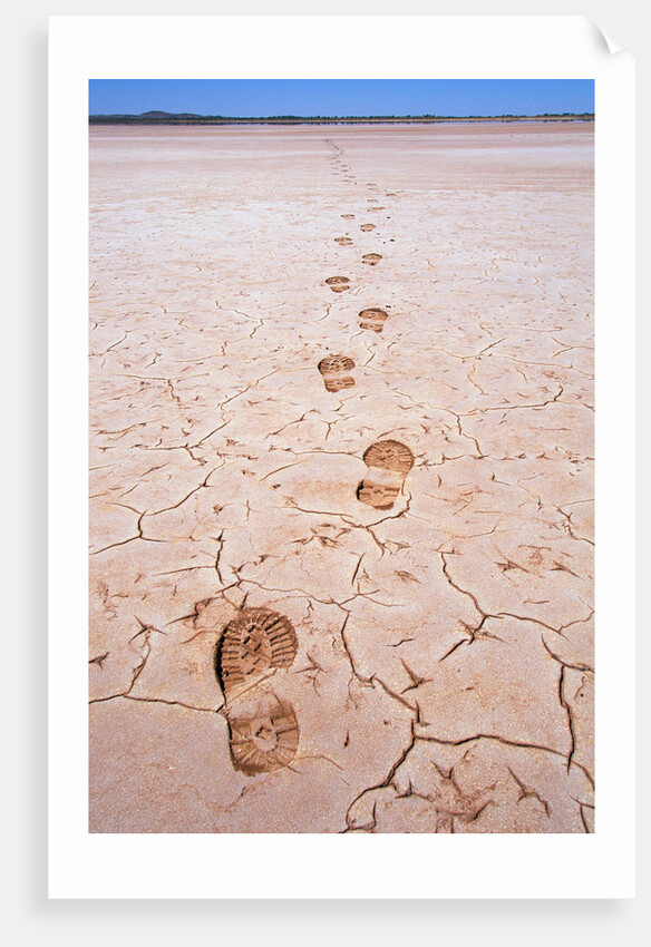 Bootprints Along Australian Outback by Anonymous