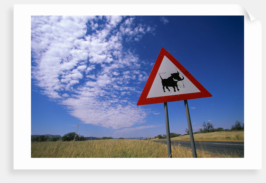 Warthog Crossing Sign by Anonymous