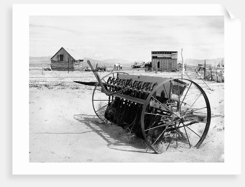 Dried Up Farm by Anonymous