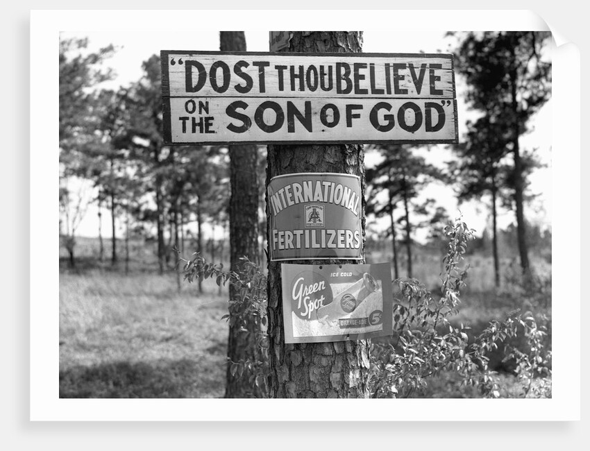 Signs along Highway by Anonymous