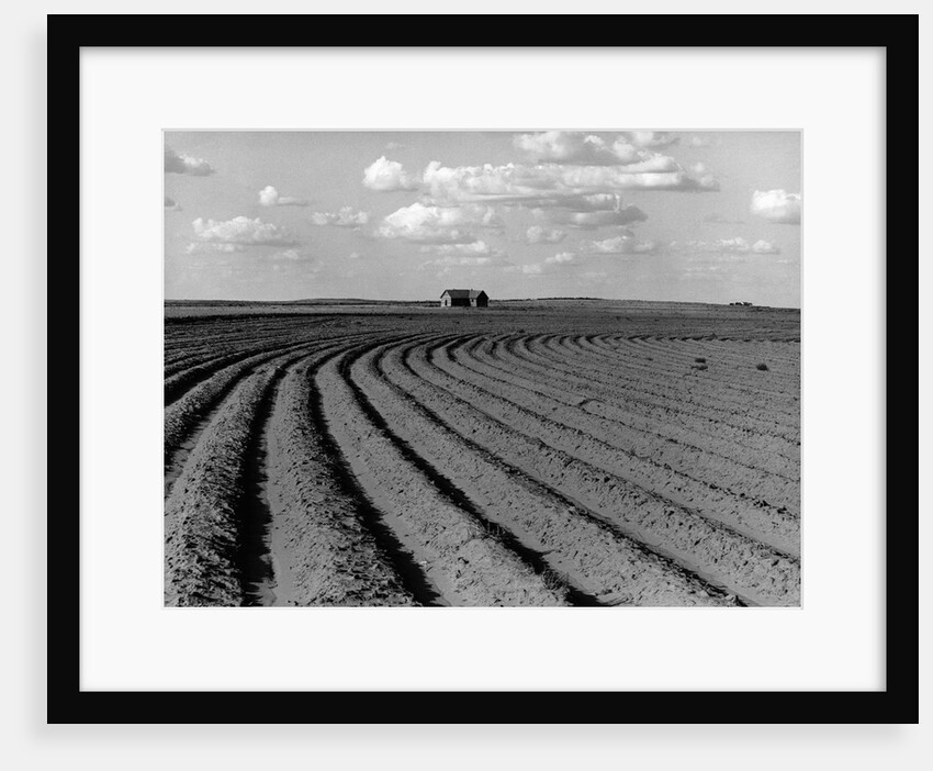 Plowed Fields on a Mechanized Cotton Farm by Anonymous