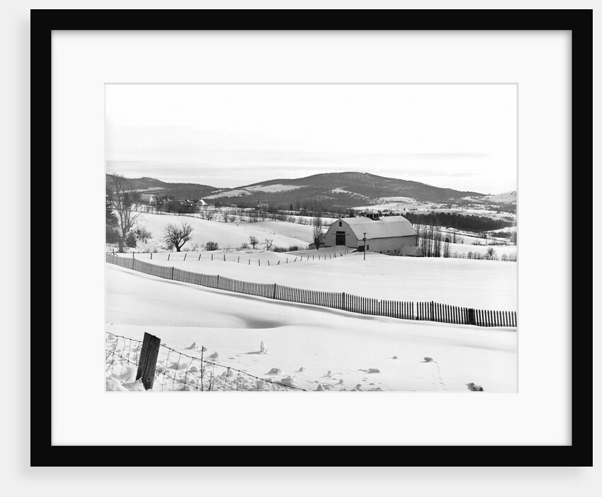 Drift Fence on Farmland by Anonymous