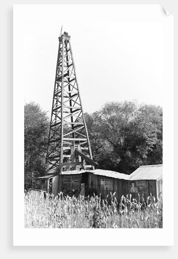 Abandoned Oil Derrick by Anonymous