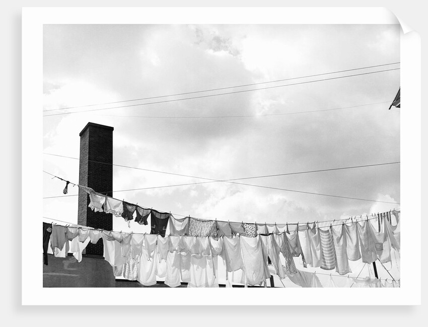 Laundry Drying on Clotheslines by Anonymous