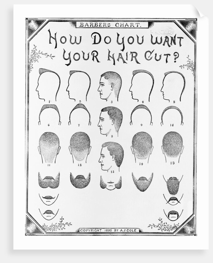 How Do You Want Your Hair Cut? by A. J. Cole