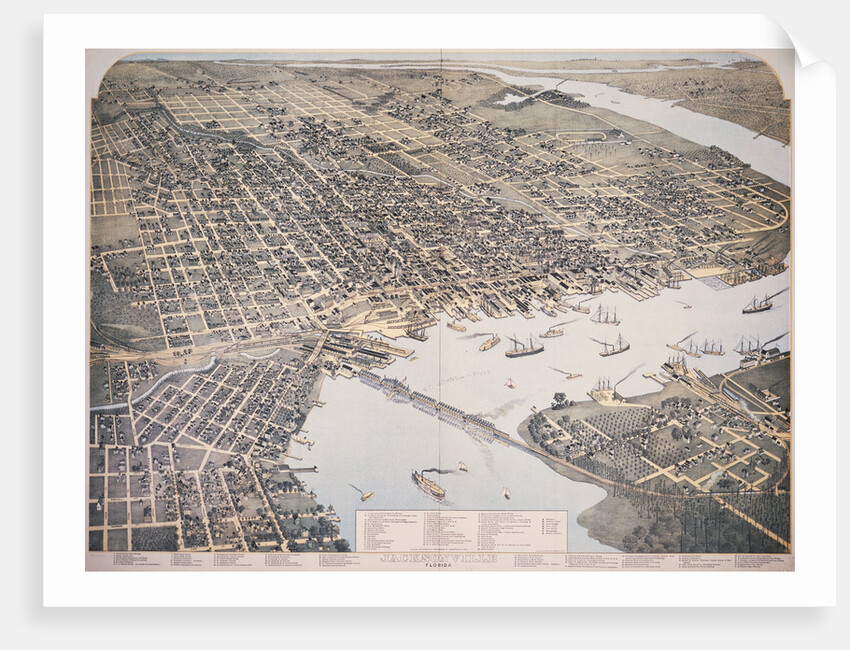 Bird's Eye View of Jacksonville by Anonymous