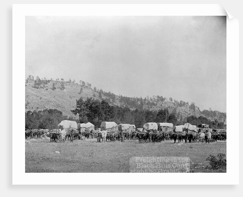 Wagon Train in the Black Hills by Anonymous