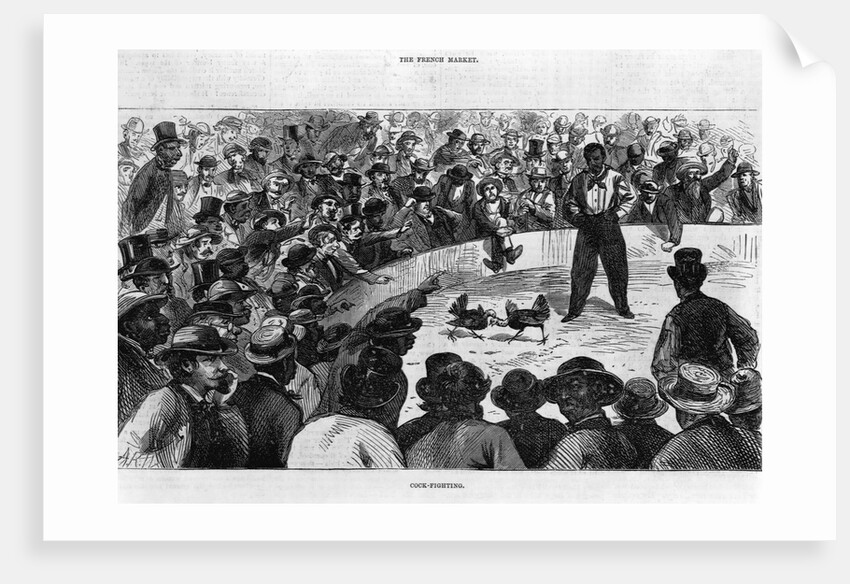 Cockfighting in New Orleans by Anonymous