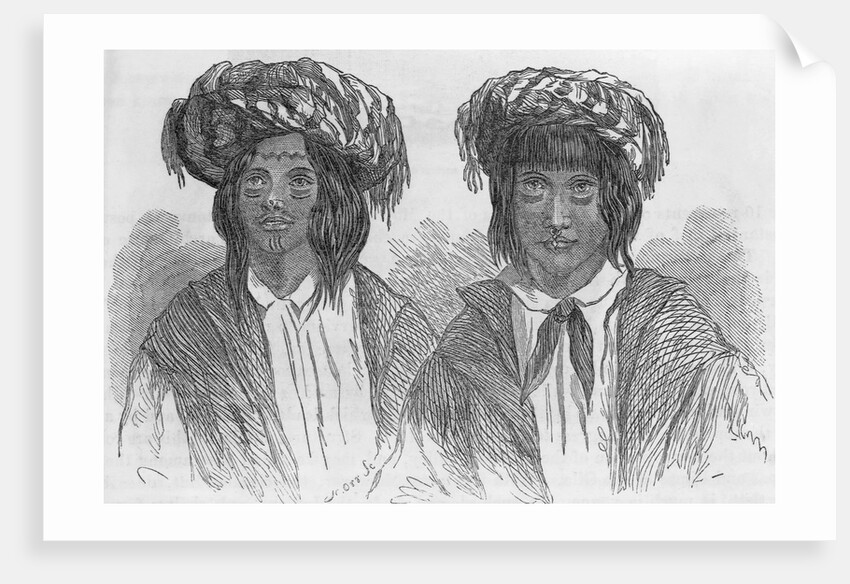 Illustration of Two Choctaw Men by Anonymous