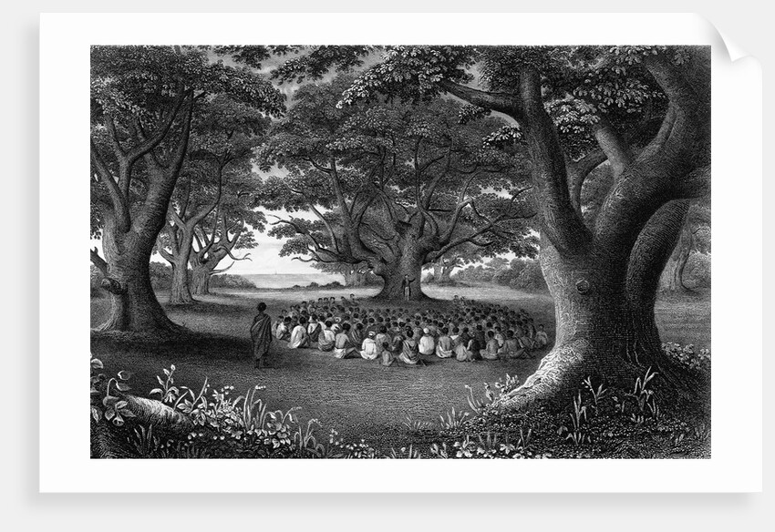 Missionary Beneath Trees by Anonymous