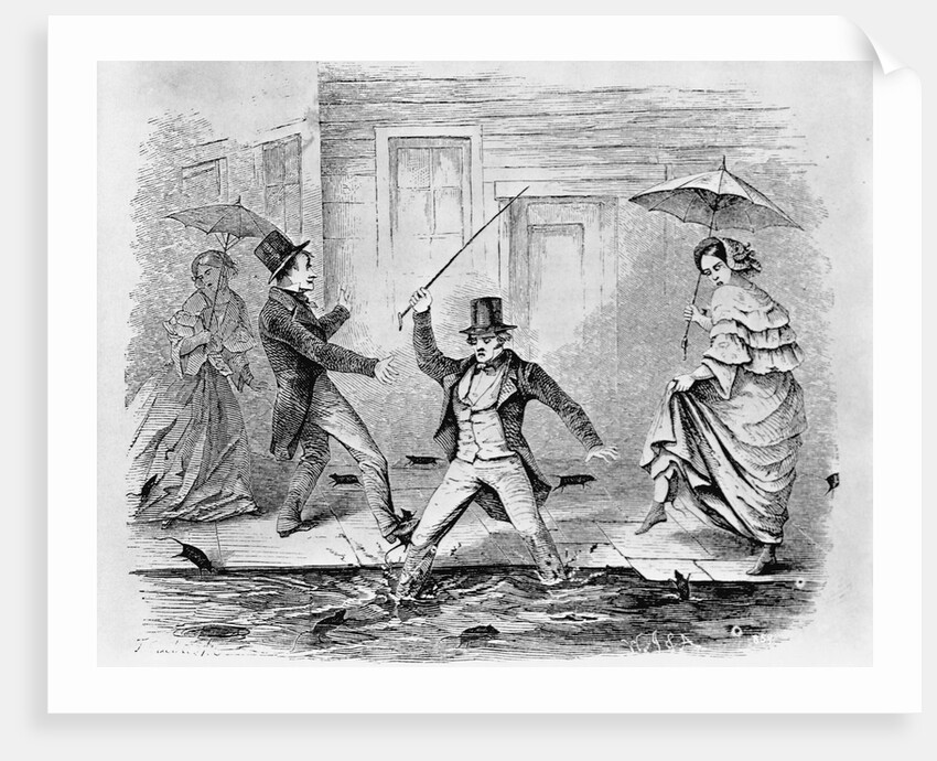 Rats on a Rainy Night in San Francisco by Reverend William Taylor