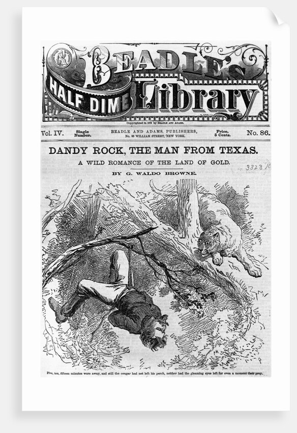 Illustration From "Dandy Rock, the Man From Texas" by Anonymous