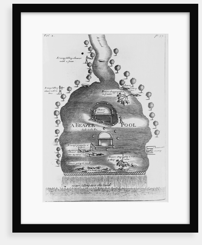 Engraving of Beaver Pond by Anonymous