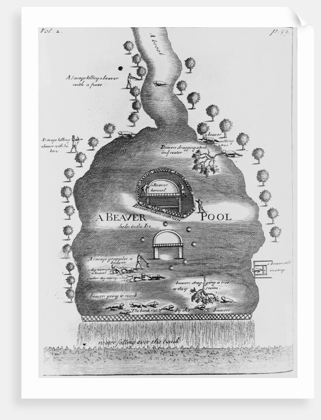 Engraving of Beaver Pond by Anonymous
