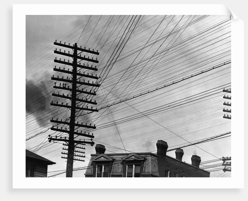 Telephone Poles and Wires by Anonymous