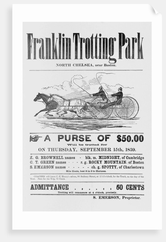 Ad for Trotter Races by Anonymous