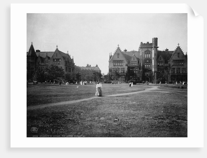 Students at University of Chicago Campus by Anonymous
