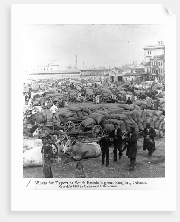 Exporting Wheat in Odessa by Anonymous