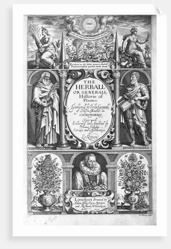 Illus. title page of The Herball or Generall Historie of Plantes by Anonymous