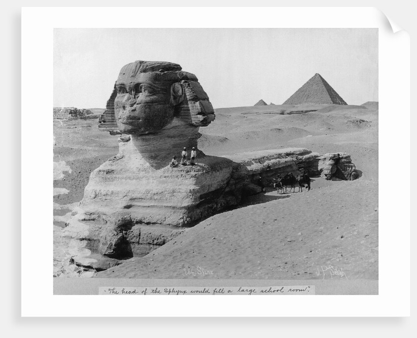 The Great Sphinx in the Desert by Anonymous