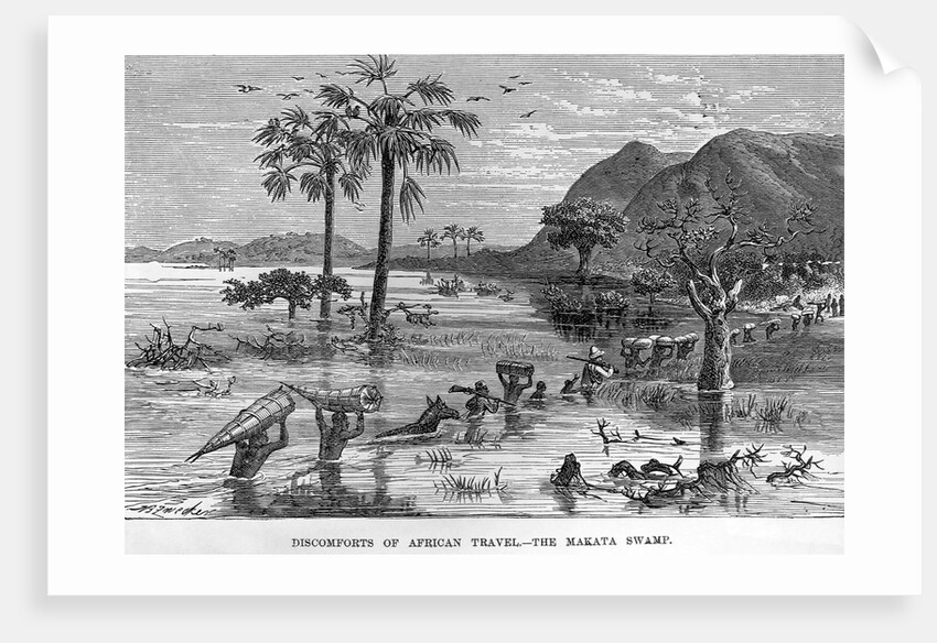 Stanley Crossing Swamp by Anonymous