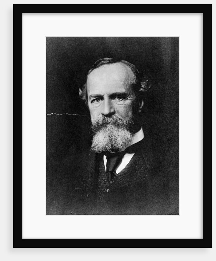 Philosopher William James by Anonymous