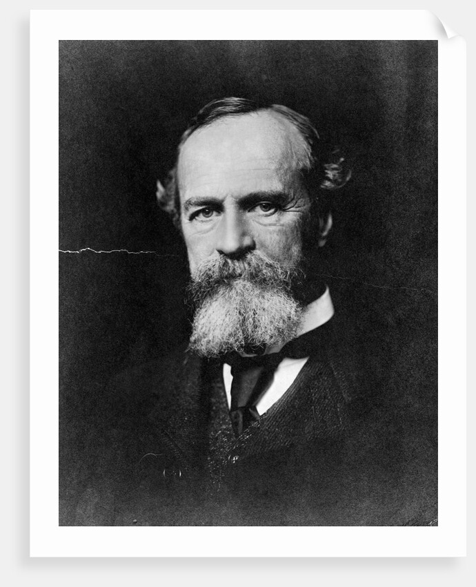 Philosopher William James by Anonymous