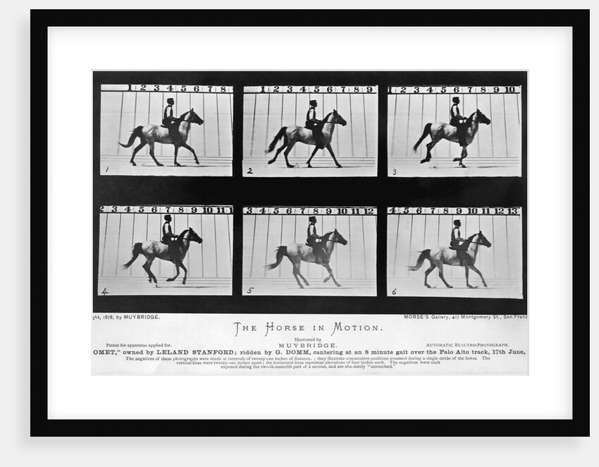 THe Horse In Motion Illustrated In Maybridge by Anonymous