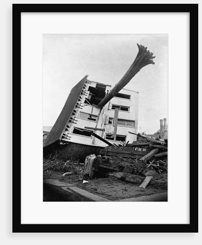 House Impaled by a Tree by Anonymous