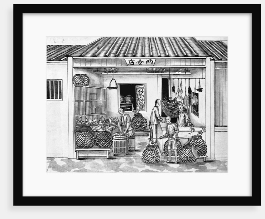 Eighteenth Century Chinese Drawing of a Butcher Shop by Anonymous